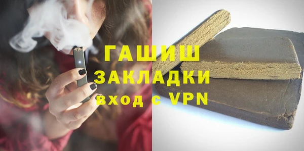 индика Новодвинск