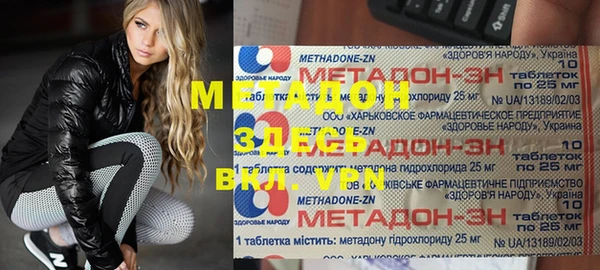 индика Новодвинск