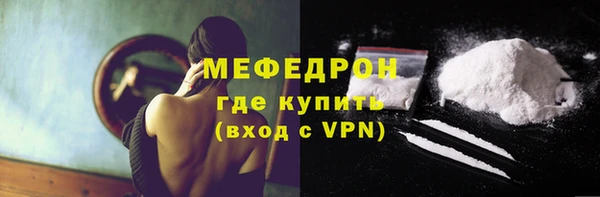 индика Новодвинск