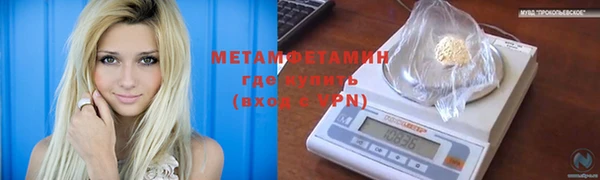индика Новодвинск