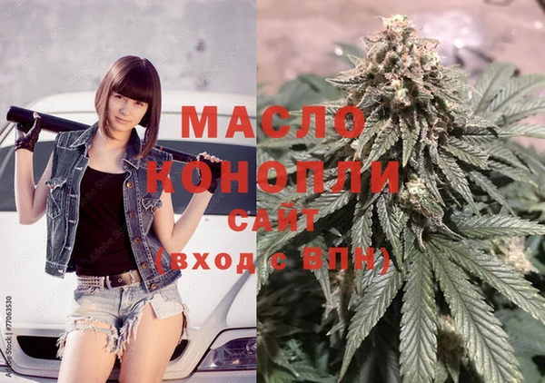 индика Новодвинск
