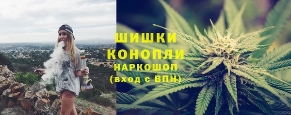 индика Новодвинск