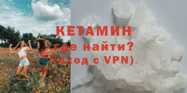 индика Новодвинск