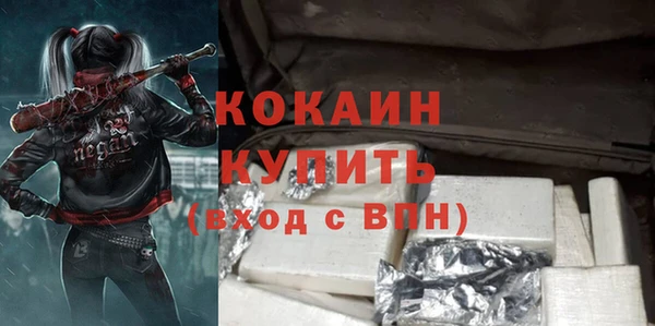 индика Новодвинск
