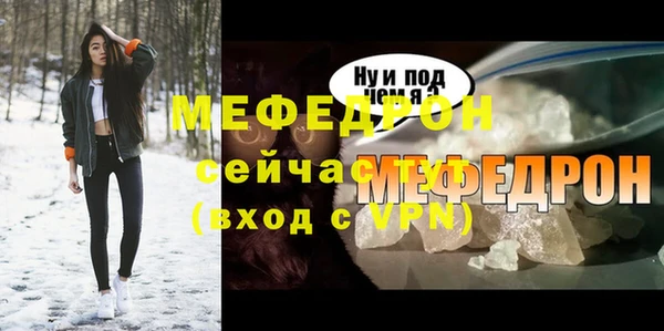 индика Новодвинск