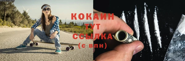 индика Новодвинск