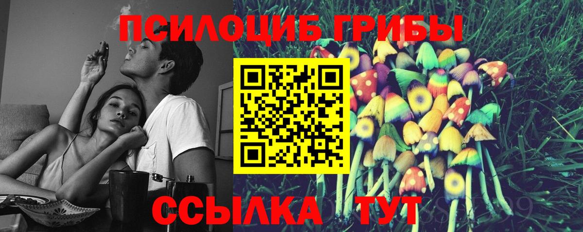 Псилоцибиновые грибы прущие грибы Лиски